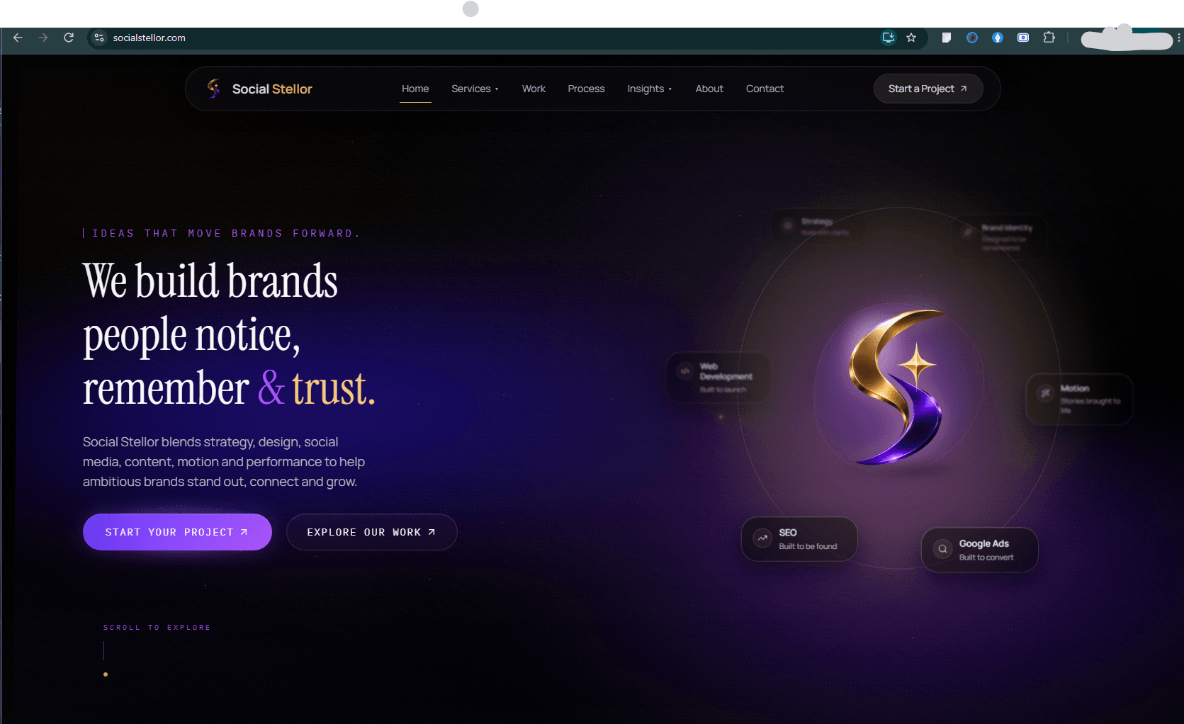 Social Stellor website homepage design